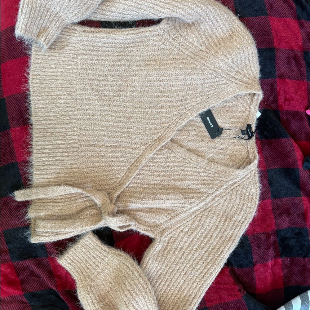 Express Soft camel V-Neck Sweater